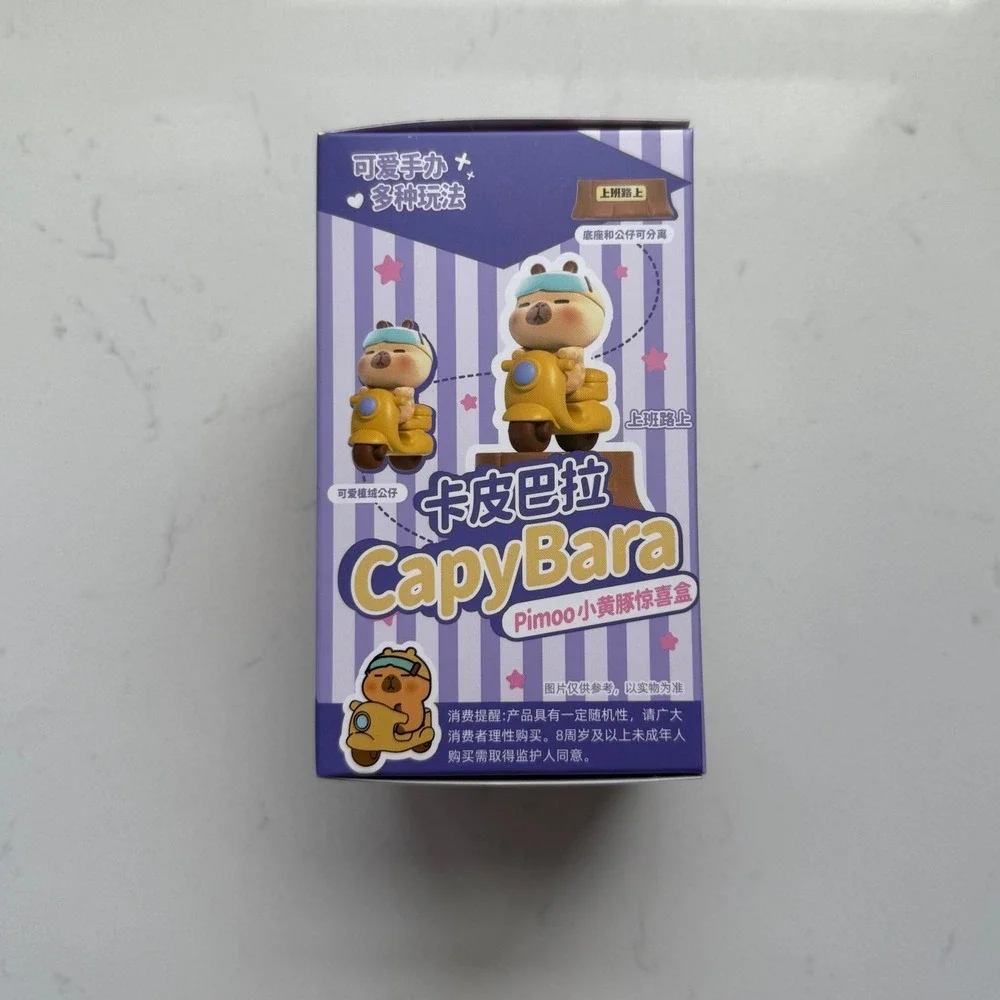 Sunny & Sandy CapyBara PIMOO Blind Box Sealed Collectible Figure 1 Random Toy